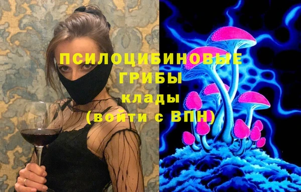 дживик Вязьма