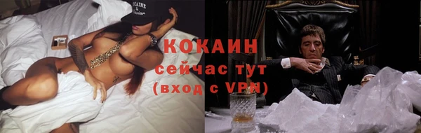 крисы Нея