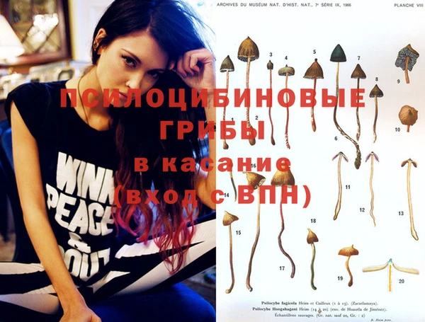 крисы Нея