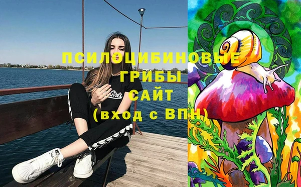 крисы Нея