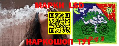 МДПВ Донецк
