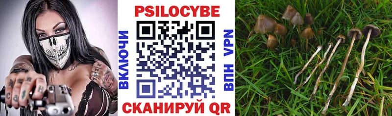 Псилоцибиновые грибы прущие грибы  Реутов 