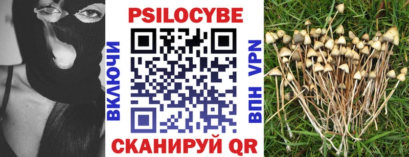 Псилоцибиновые грибы Psilocybine cubensis Реутов