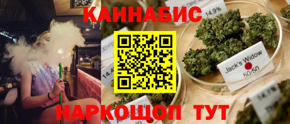 Реутов  Бошки марихуана планчик  МАРИХУАНА сатива  Бошки Шишки Amnesia  Бошки Шишки марихуана  Вход с VPN 